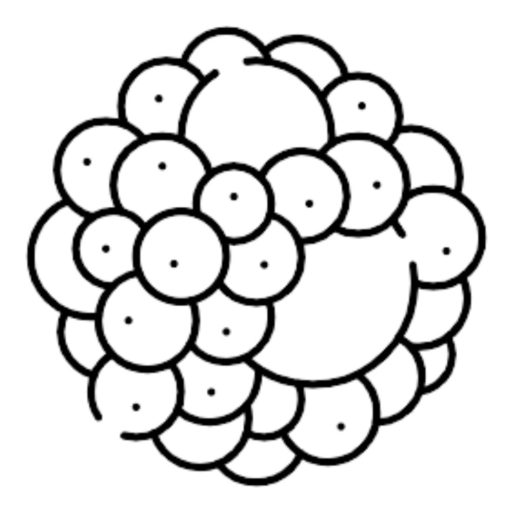 syn-hycan