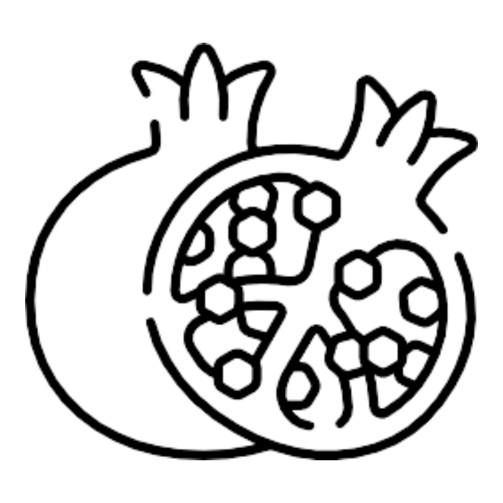 phyto 4.8
